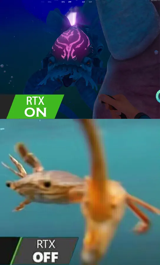 No.7